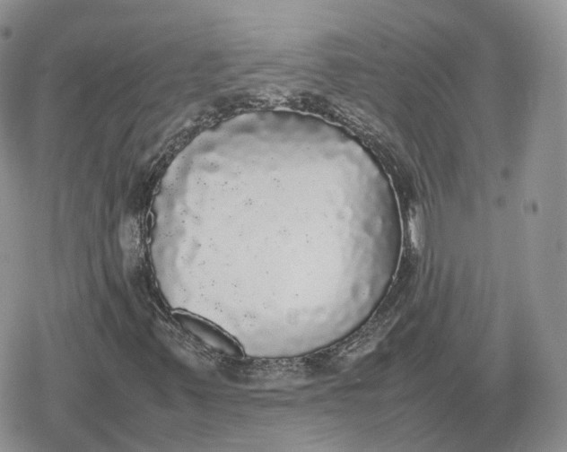 X0000078841347200611271312