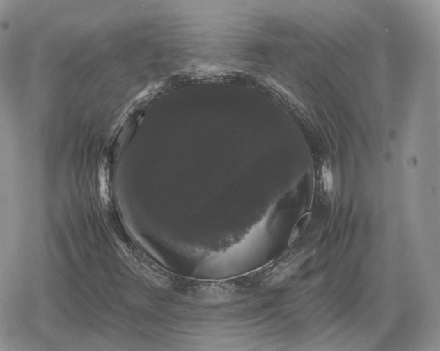 X0000078841348200611271312