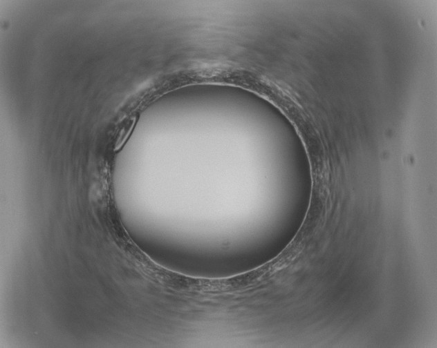 X0000078841349200611271312