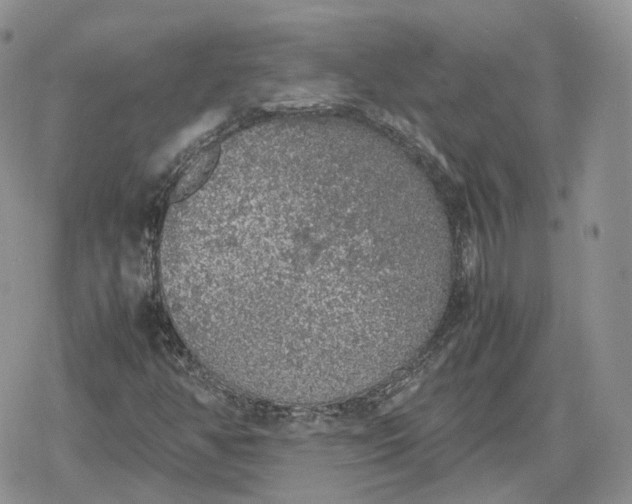 X0000078841350200611271312