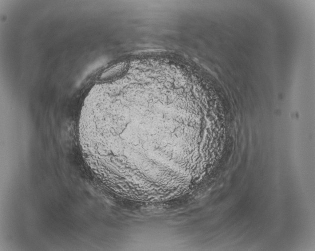 X0000078841351200611271311