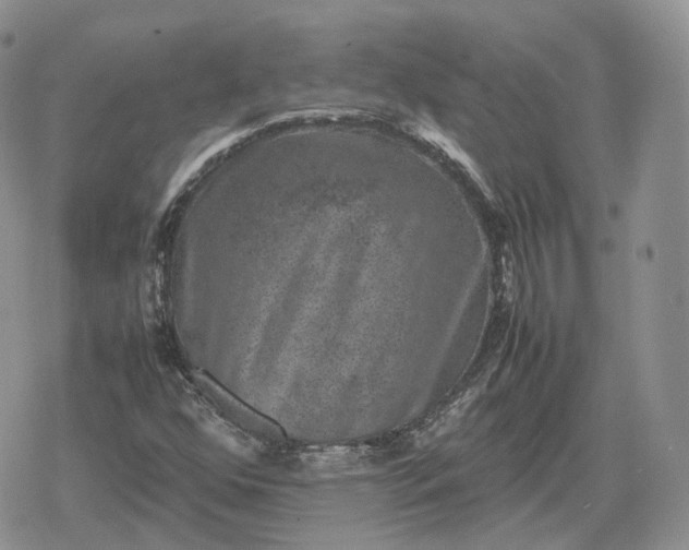 X0000078841352200611271311