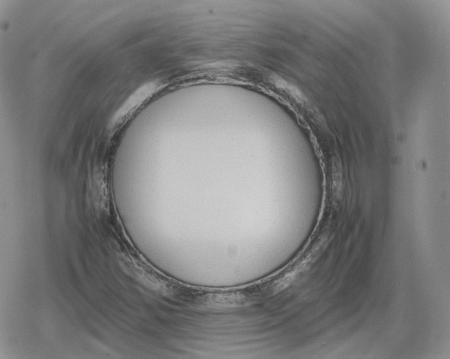 X0000078841354200611271311