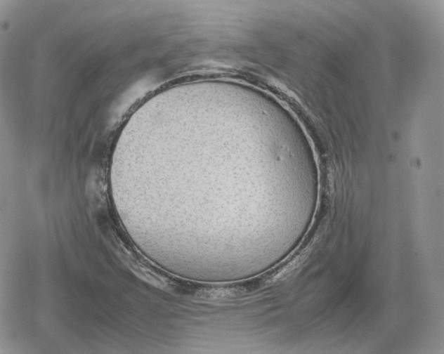 X0000078841355200611271311