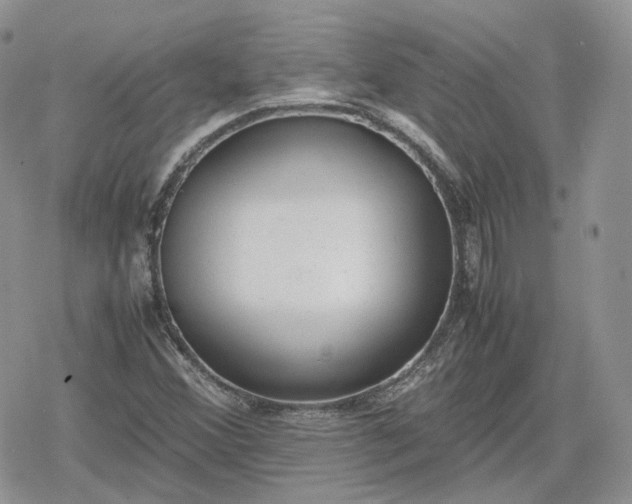 X0000078841356200611271311