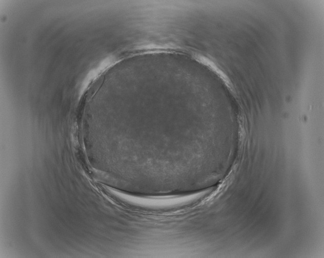 X0000078841357200611271311