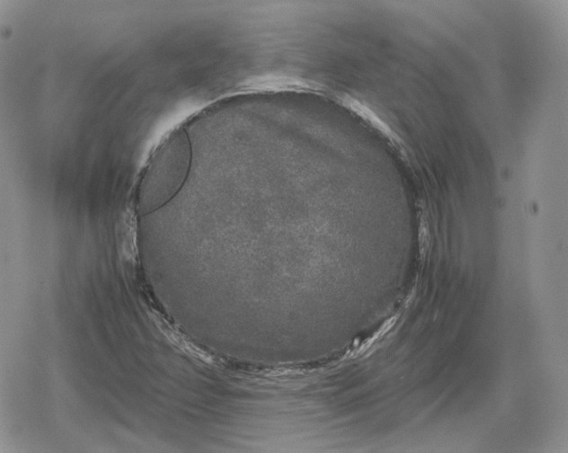 X0000078841358200611271311