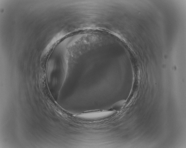 X0000078841359200611271311