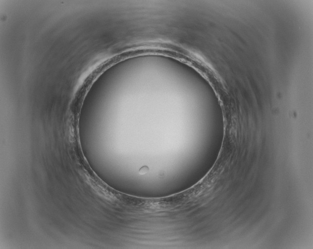 X0000078841360200611271311