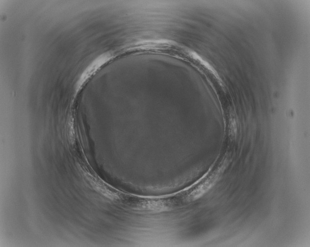 X0000078841362200611271311