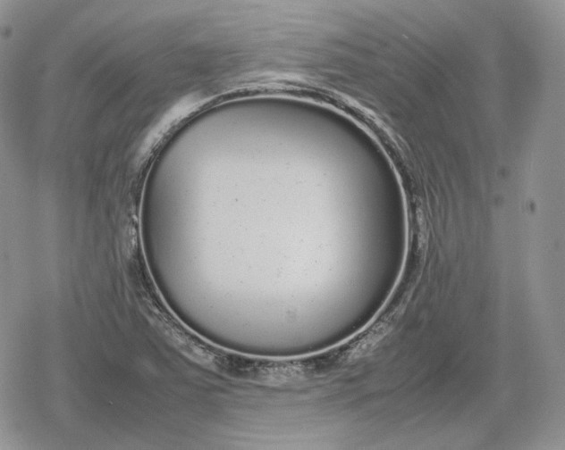 X0000078841363200611271311