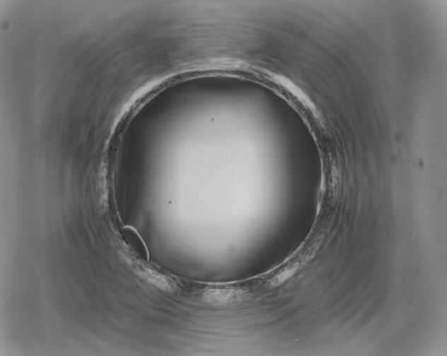 X0000078841364200611271311