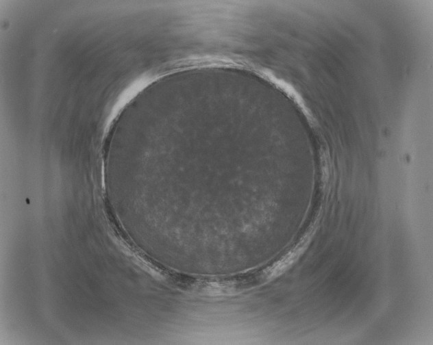 X0000078841365200611271311