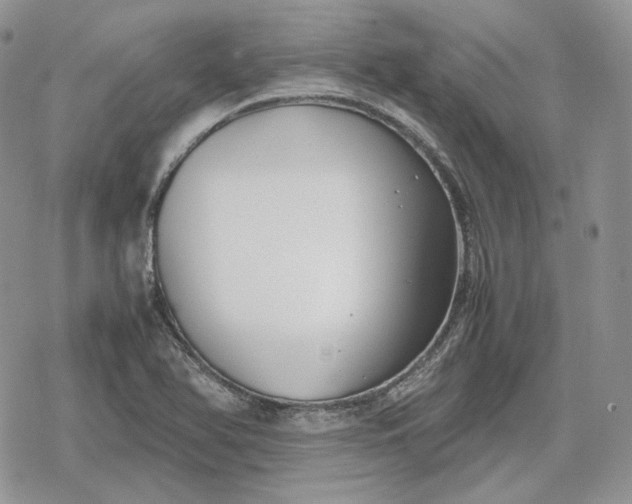 X0000078841366200611271311