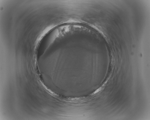 X0000078841367200611271311