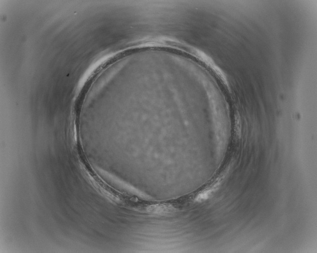 X0000078841368200611271311