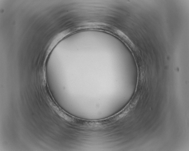 X0000078841370200611271311