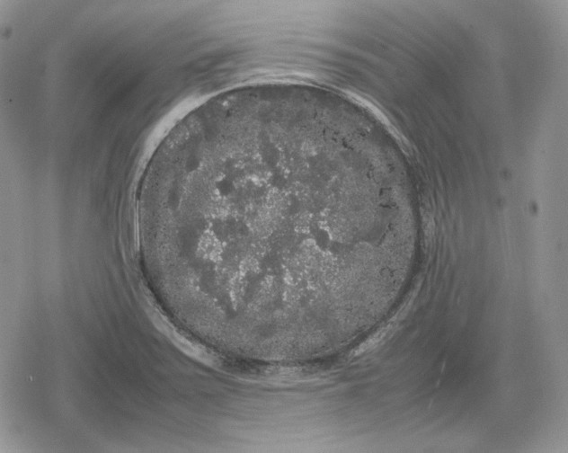 X0000078841371200611271311