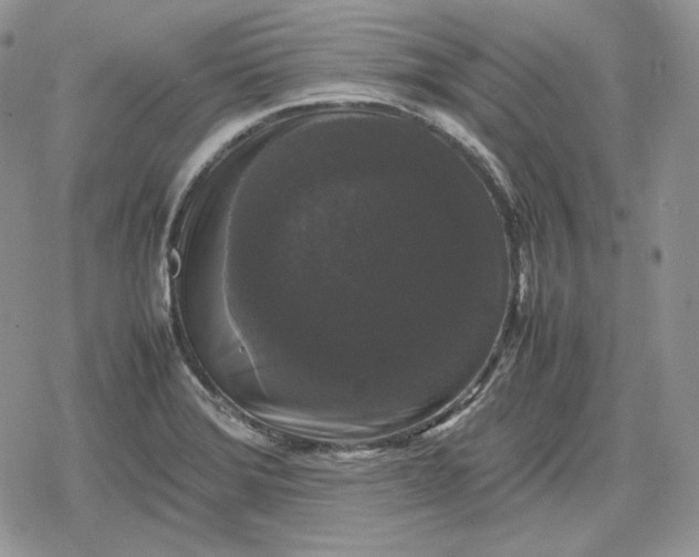 X0000078841372200611271311