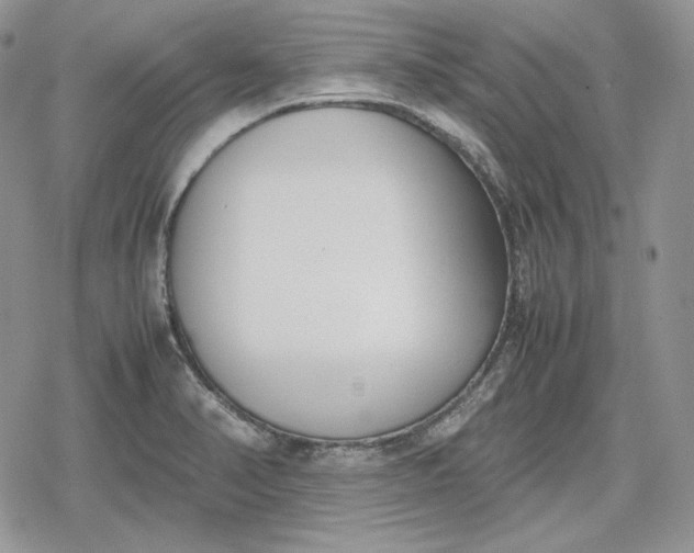 X0000078841374200611271311