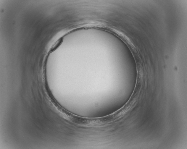 X0000078841375200611271311