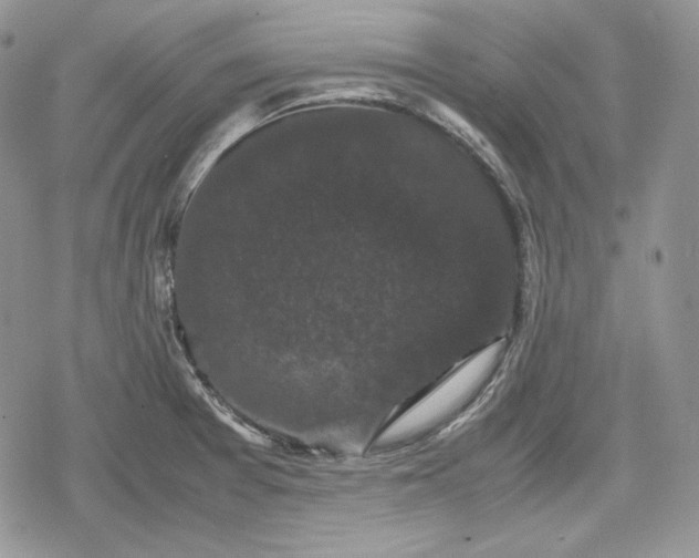 X0000078841377200611271311