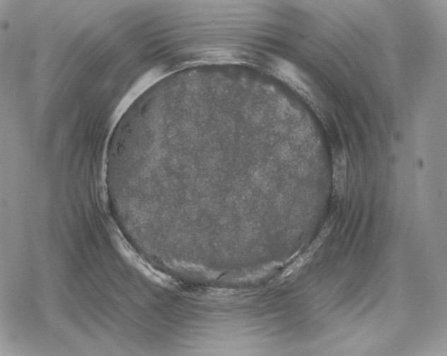 X0000078841378200611271311