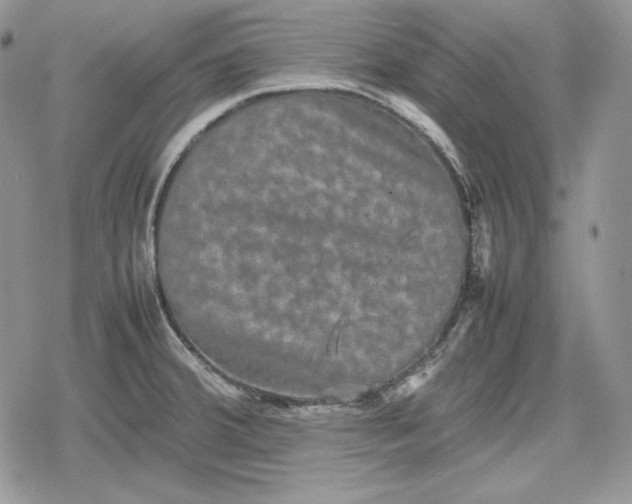 X0000078841380200611271311