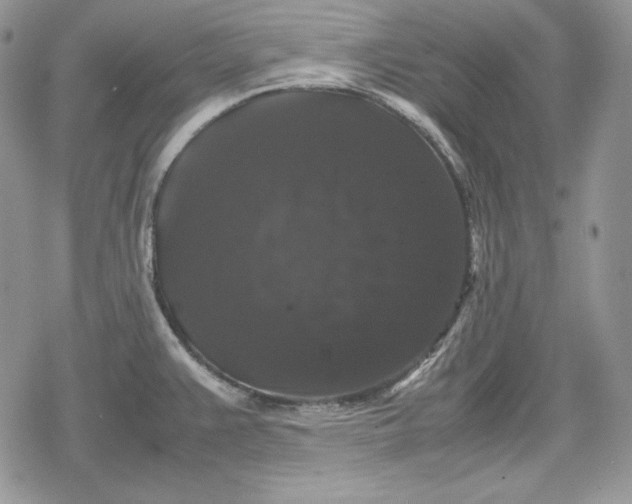 X0000078841383200611271311