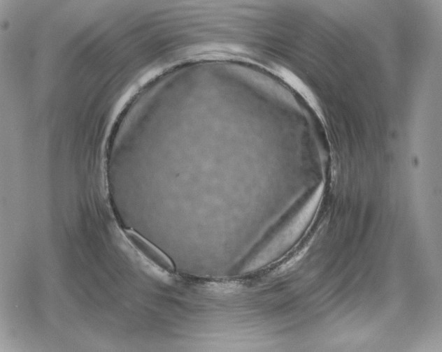 X0000078841384200611271311