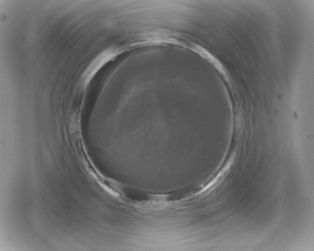 X0000078841385200611271311