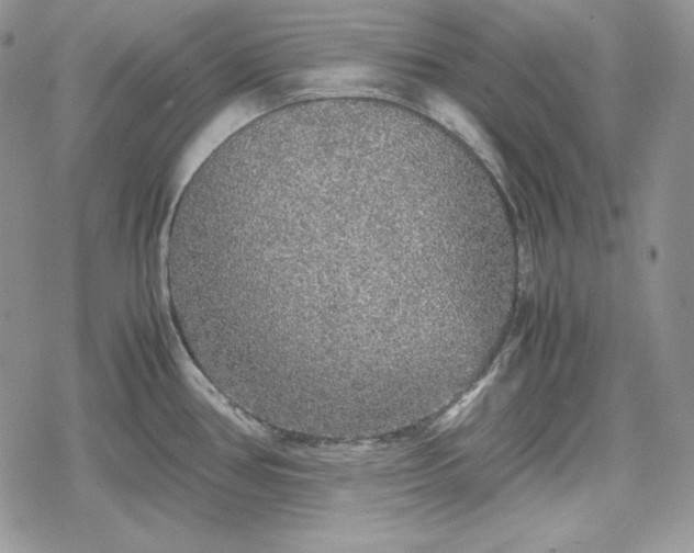 X0000078841386200611271311