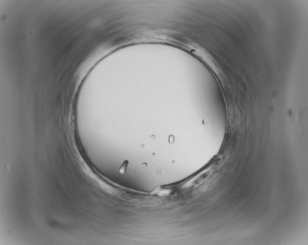 X0000078841387200611271311