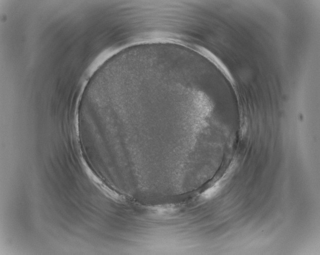 X0000078841388200611271311