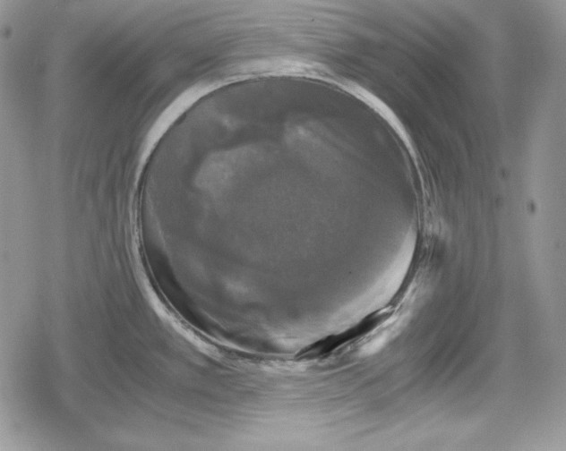 X0000078841389200611271311