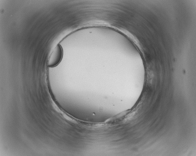 X0000078841390200611271311