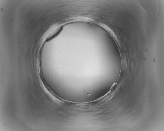 X0000078841391200611271311