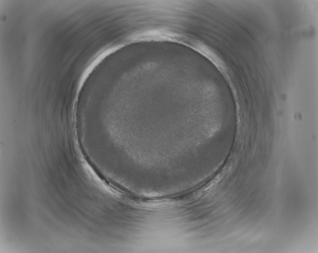 X0000078841392200611271311