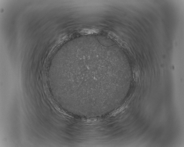 X0000078841393200611271310