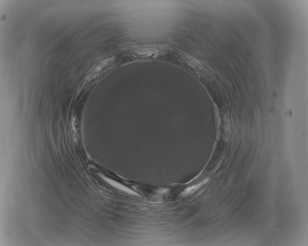 X0000078841394200611271310