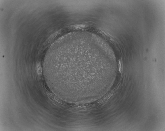 X0000078841395200611271310