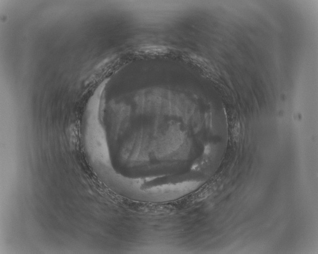 X0000078841397200611271310