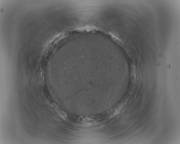 X0000078841398200611271310