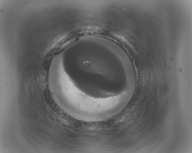 X0000078841399200611271310