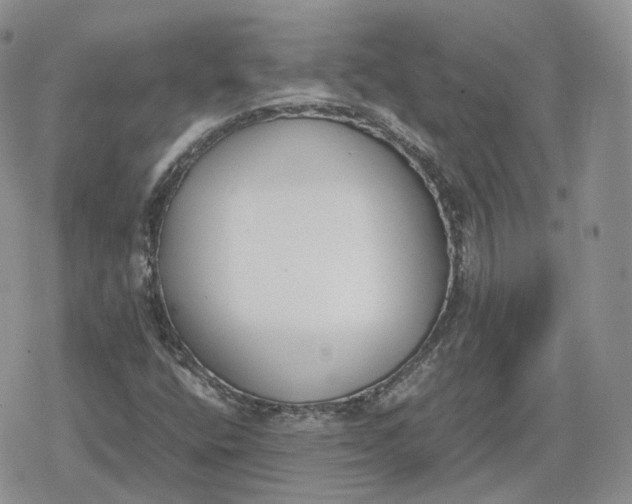 X0000078841400200611271310