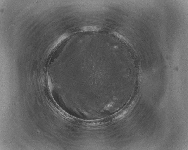 X0000078841401200611271310