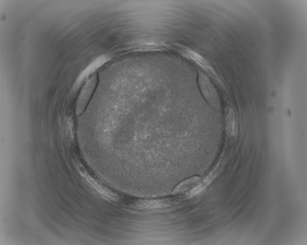 X0000078841402200611271310