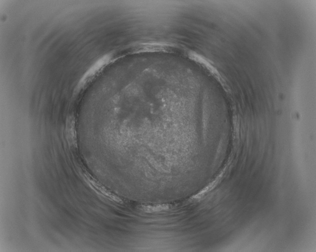 X0000078841403200611271310