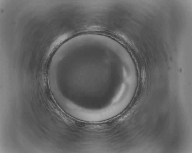 X0000078841405200611271310