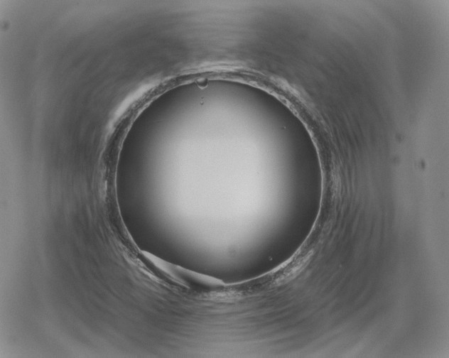 X0000078841406200611271310